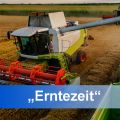 Mähdrescher entlädt in einen Anhänger
