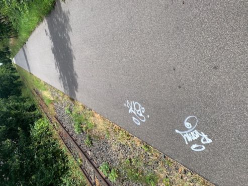 der Schriftzug "Romy" wurde mehrfach auf die Straße gesprüht