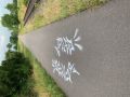 Teile der Fahrbahn welche besprüht wurde