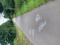 weitere Schriftzüge auf der Fahrbahn der Europa-Radbahn